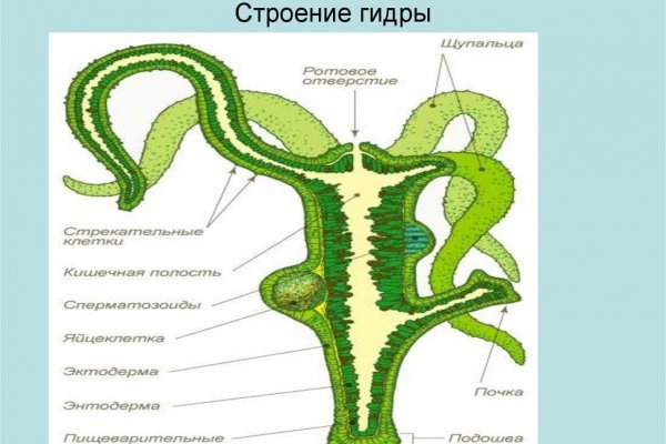 Кракен новый маркетплейс