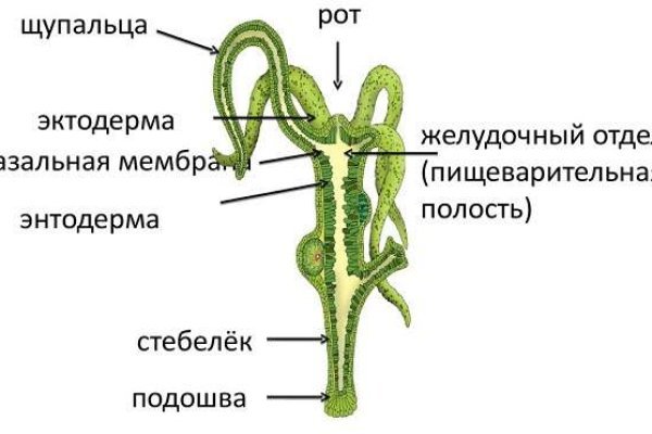 Кракен перейти