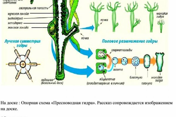 Кракен это известный маркетплейс